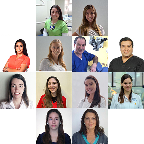 Directiva Sociedad Endodoncia